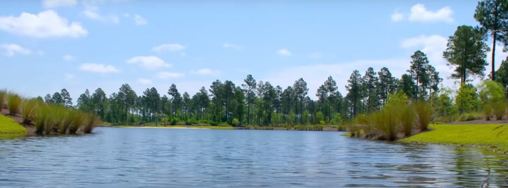 Water View at Brunswick Forest | Suzanne Polino REALTOR